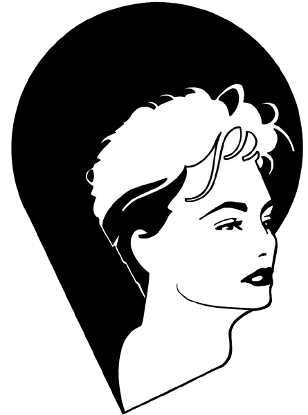 Beautifully styled hair vinyl sticker. Customize on line.  Hairdressers 047-0100